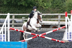 Class 3 -  Fences not above 2'3